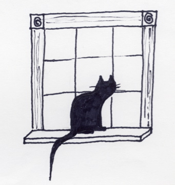 Windowsill Cat