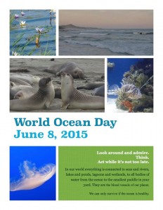 World Ocean Day - poster